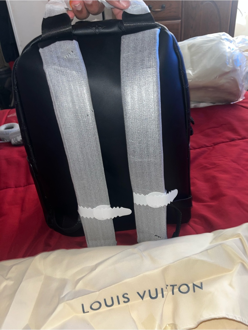 LV Backpack - Picture 4 of 7